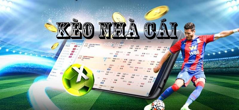 15 Kèo Nhà Cái Là Gì?