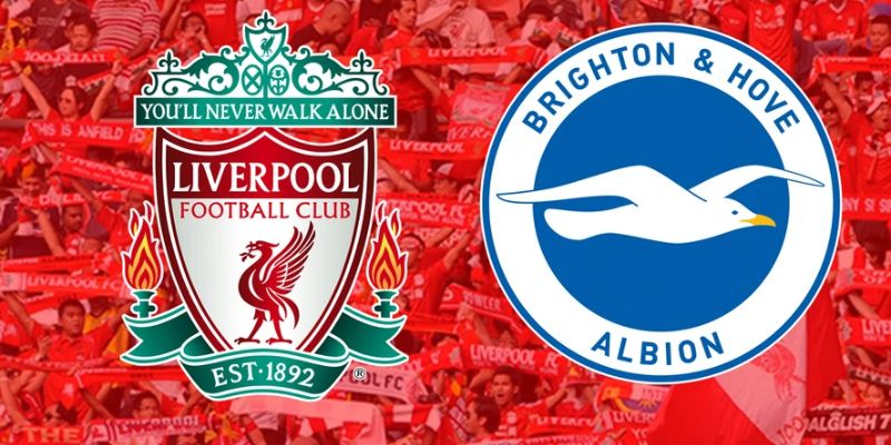 Soi Kèo Liverpool Vs Brighton Hove Albion Lúc 03:00 Ngày 15/2
